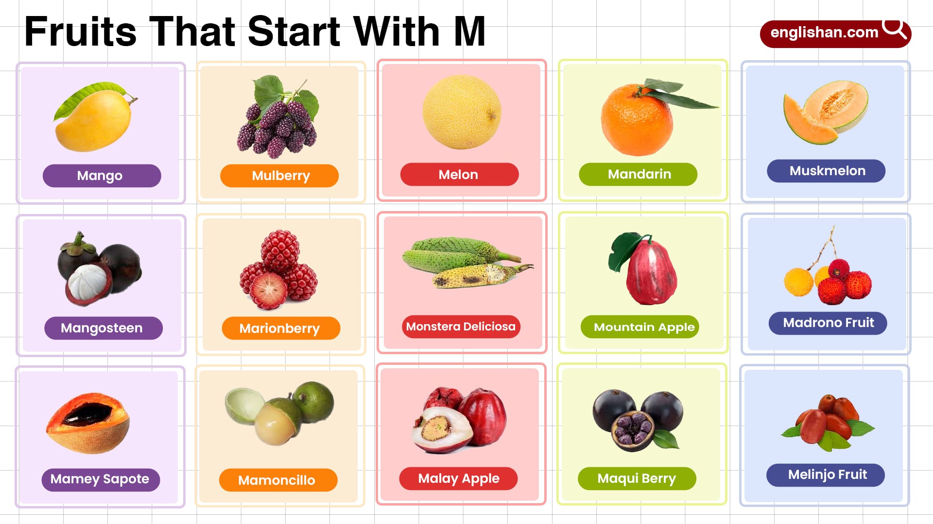 fruits that start with m - Article 3